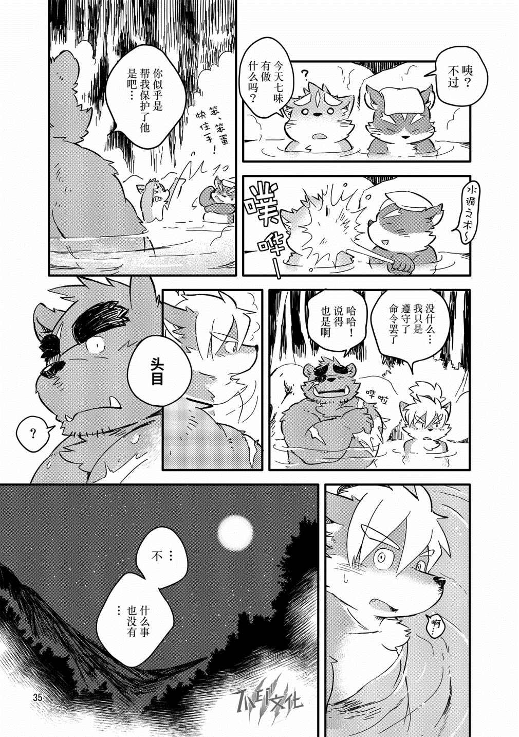 第33页