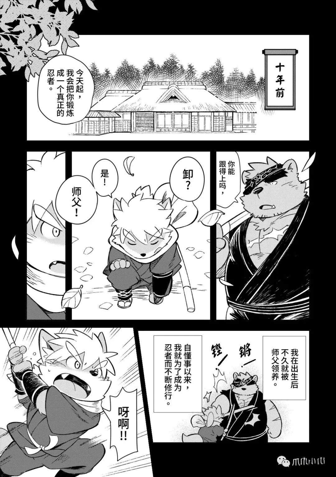 第3页