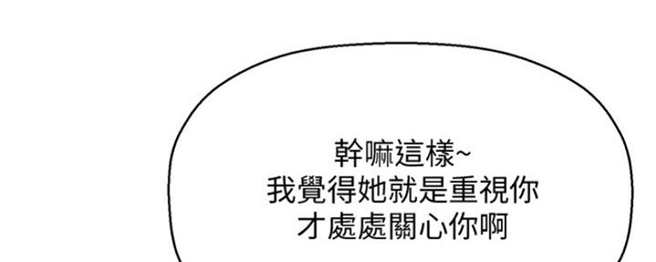 第223页